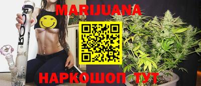 гидра Долгопрудный