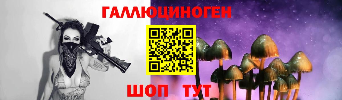 Губкин  Псилоцибиновые грибы Cubensis  Вход с VPN 
